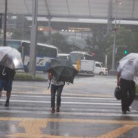台風　雨漏り　火災保険