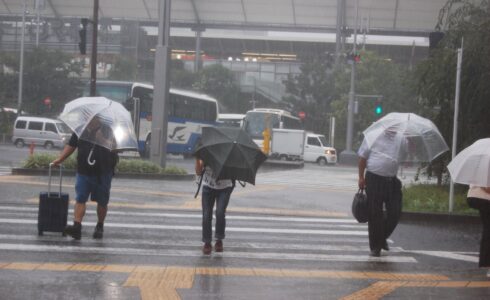 台風　雨漏り　火災保険
