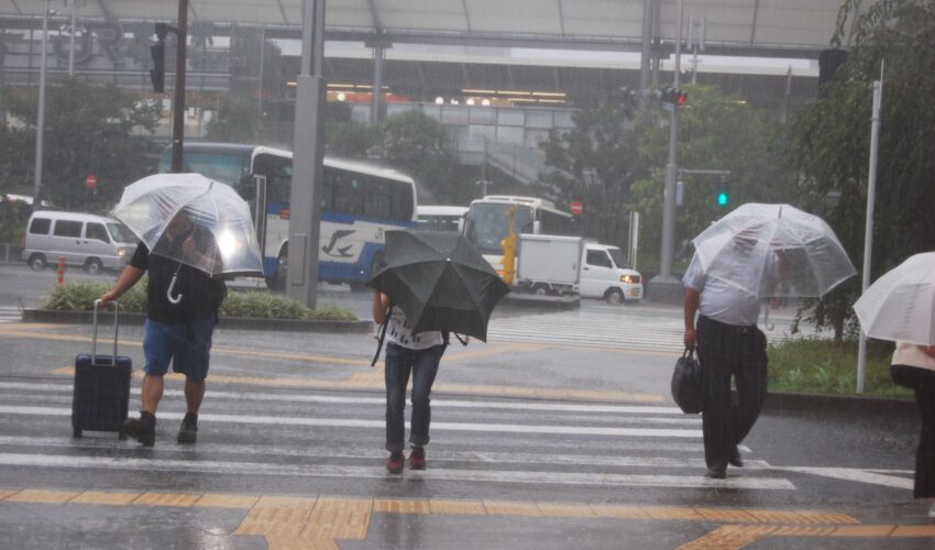 台風　雨漏り　火災保険